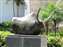 0566-  Bull.