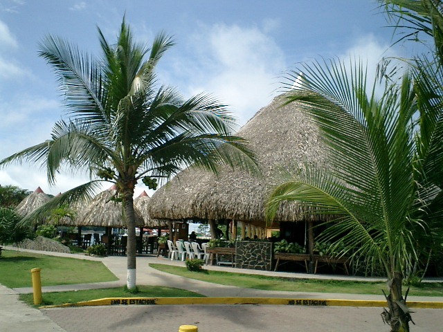 Photo-4